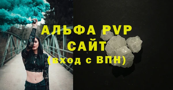 молекула духа Богородицк