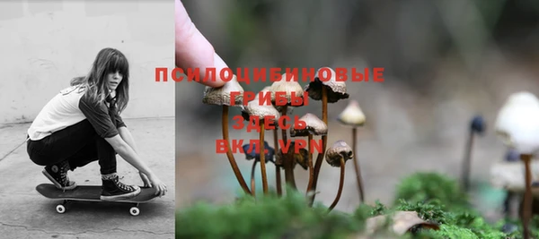 дживик Тавда