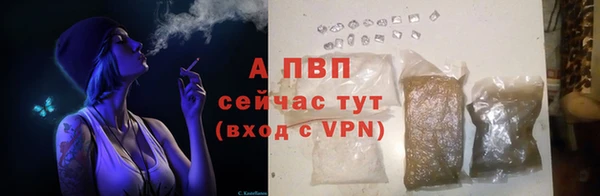 амфетамин Богданович