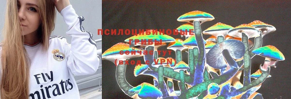 дурь Сясьстрой