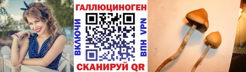 Галлюциногенные грибы прущие грибы Козловка